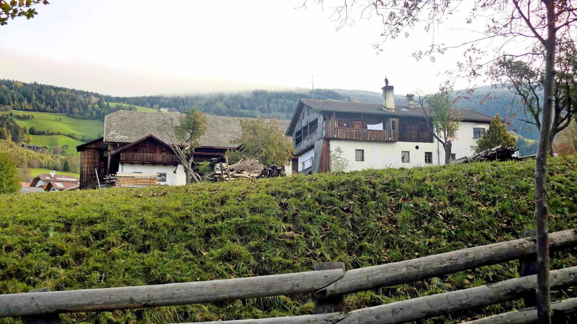 Die Ersitzung
